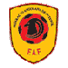 FAF Logo